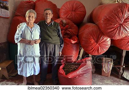Stock Image - "Mature couple, coca leaf traders in front of big red sacks filled with coca leaves, Coroico, La Paz, Yungas, Bolivia, South America". Fotosearch