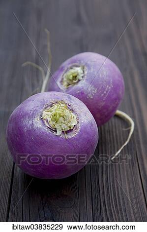 "May turnips, organic vegetable" View Large Photo Image Stock Photo - "May turnips, organic vegetable". Fotosearch