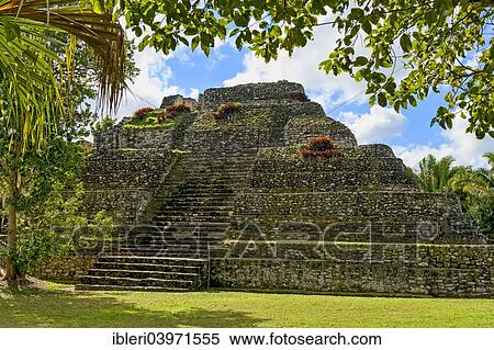 "Mayan step pyramid, Chacchoben, Quintana Roo, Mexico, North America" View Large Photo Image Stock Photography - "Mayan step pyramid, Chacchoben, Quintana Roo, Mexico, North America". Fotosearch