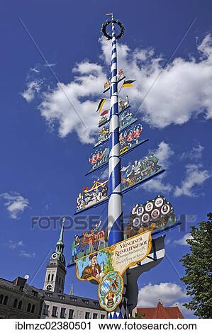 Stock Image - "Maypole on Viktualienmarkt market against blue sky with clouds, steeple of the Church of St. Peter at the back, Munich, Bavaria, Germany, Europe". Fotosearch