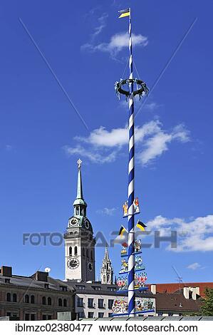"Maypole on Viktualienmarkt market against blue sky with clouds, steeple of the Church of St. Peter at the back, Munich, Bavaria, Germany, Europe" View Large Photo Image Stock Photo - "Maypole on Viktualienmarkt market against blue sky with clouds, steeple of the Church of St. Peter at the back, Munich, Bavaria, Germany, Europe". Fotosearch