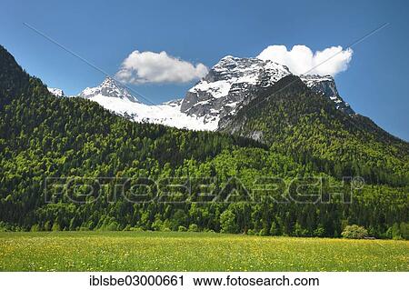 "Meadow in front of Mt Reifhorn near Lofer, Lofer, Salzburger Land, Salzburg State, Austria, Europe" View Large Photo Image Stock Image - "Meadow in front of Mt Reifhorn near Lofer, Lofer, Salzburger Land, Salzburg State, Austria, Europe". Fotosearch
