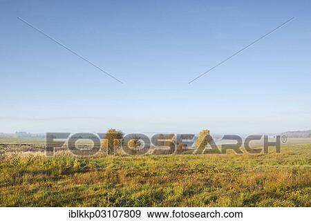 "Meadow in the morning light, Stiege, Oberharz am Brocken, Saxony-Anhalt, Germany, Europe" View Large Photo Image Stock Photo - "Meadow in the morning light, Stiege, Oberharz am Brocken, Saxony-Anhalt, Germany, Europe". Fotosearch