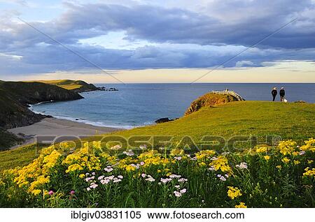 "Meadow near the viewpoint overlooking the beach of Sango Bay, Durness, Caithness, Sutherland and Easter Ross, Scotland, United Kingdom, Europe" View Large Photo Image Stock Photography - "Meadow near the viewpoint overlooking the beach of Sango Bay, Durness, Caithness, Sutherland and Easter Ross, Scotland, United Kingdom, Europe". Fotosearch