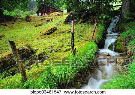 "Meadow with a creek, near Grindelwald, Canton of Bern, Switzerland, Europe" View Large Photo Image Stock Photo - "Meadow with a creek, near Grindelwald, Canton of Bern, Switzerland, Europe". Fotosearch