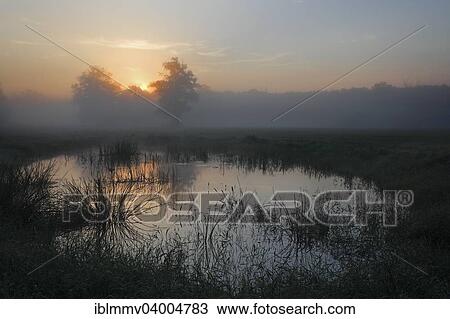 "Meadow with backwater at sunrise in autumn fog in the floodplain landscape, Middle Elbe Biosphere Reserve, Dessau-Rosslau, Saxony-Anhalt, Germany, Europe" View Large Photo Image Stock Image - "Meadow with backwater at sunrise in autumn fog in the floodplain landscape, Middle Elbe Biosphere Reserve, Dessau-Rosslau, Saxony-Anhalt, Germany, Europe". Fotosearch