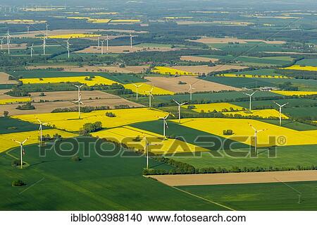 "Meadows, rape fields in full bloom and wind turbines, near Perleberg, Brandenburg, Germany, Europe" View Large Photo Image Stock Image - "Meadows, rape fields in full bloom and wind turbines, near Perleberg, Brandenburg, Germany, Europe". Fotosearch