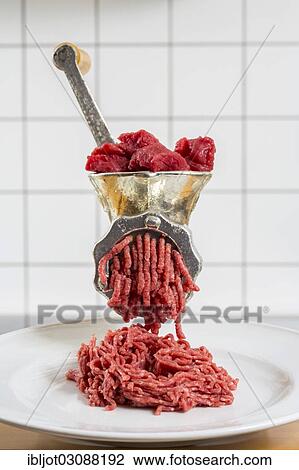 "Meat-grinder, grinding fresh meat into minced meat" View Large Photo Image Stock Image - "Meat-grinder, grinding fresh meat into minced meat". Fotosearch