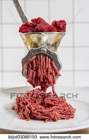 "Meat-grinder, grinding fresh meat into minced meat" View Large Photo Image Stock Image - "Meat-grinder, grinding fresh meat into minced meat". Fotosearch
