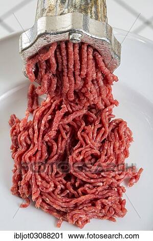 "Meat-grinder, grinding fresh meat into minced meat" View Large Photo Image Stock Image - "Meat-grinder, grinding fresh meat into minced meat". Fotosearch