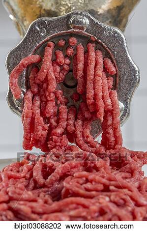 "Meat-grinder, grinding fresh meat into minced meat" View Large Photo Image Stock Image - "Meat-grinder, grinding fresh meat into minced meat". Fotosearch