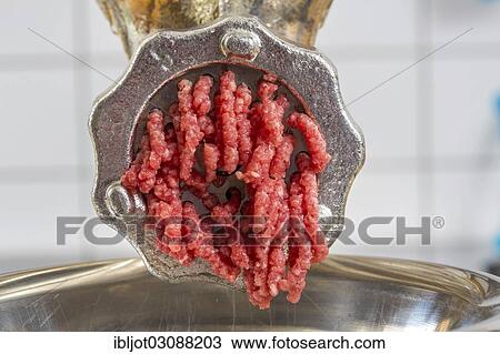 "Meat-grinder, grinding fresh meat into minced meat" View Large Photo Image Stock Image - "Meat-grinder, grinding fresh meat into minced meat". Fotosearch