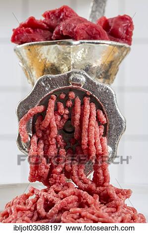 "Meat-grinder, grinding fresh meat into minced meat" View Large Photo Image Stock Photo - "Meat-grinder, grinding fresh meat into minced meat". Fotosearch