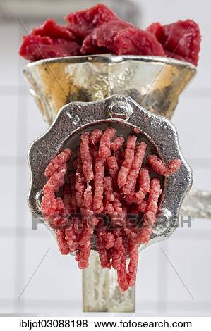 "Meat-grinder, grinding fresh meat into minced meat" View Large Photo Image Stock Photo - "Meat-grinder, grinding fresh meat into minced meat". Fotosearch
