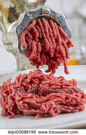 "Meat-grinder, grinding fresh meat into minced meat" View Large Photo Image Stock Photo - "Meat-grinder, grinding fresh meat into minced meat". Fotosearch