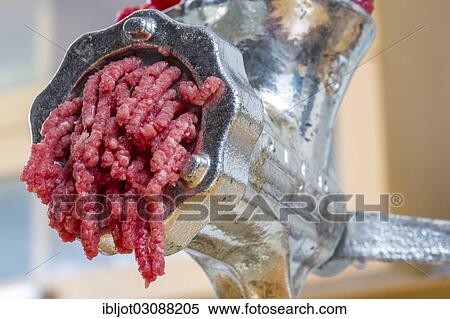 "Meat-grinder, grinding fresh meat into minced meat" View Large Photo Image Stock Photography - "Meat-grinder, grinding fresh meat into minced meat". Fotosearch