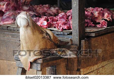 "Meat on the market and a calf's head, Cambodia, Southeast Asia, Asia" View Large Photo Image Stock Photo - "Meat on the market and a calf's head, Cambodia, Southeast Asia, Asia". Fotosearch
