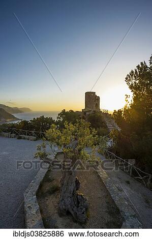 "Medieval watchtower, Banyalbufar, Serra de Tramuntana, Majorca, Balearic Islands, Spain, Europe" View Large Photo Image Stock Photograph - "Medieval watchtower, Banyalbufar, Serra de Tramuntana, Majorca, Balearic Islands, Spain, Europe". Fotosearch