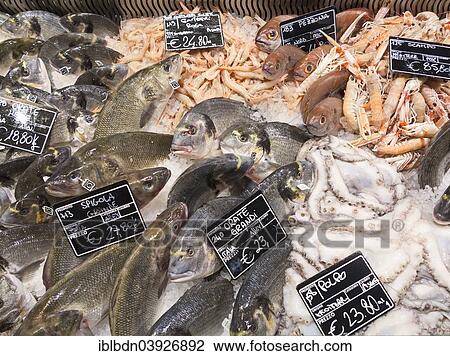 "Mediterranean fresh fish on display at Eataly food store, Rome, Lazio, Italy, Europe" View Large Photo Image Stock Image - "Mediterranean fresh fish on display at Eataly food store, Rome, Lazio, Italy, Europe". Fotosearch