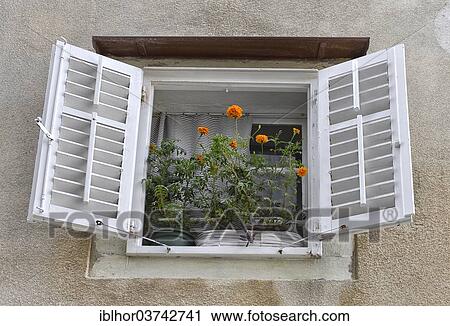 "Mediterranean style window with flowers, Cres, Cres island, Primorje-Gorski Kotar County, Croatia, Europe" View Large Photo Image Stock Image - "Mediterranean style window with flowers, Cres, Cres island, Primorje-Gorski Kotar County, Croatia, Europe". Fotosearch
