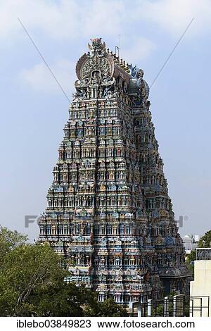 "Meenakshi Amman Temple, Madurai, Tamil Nadu, South India, India, Asia" View Large Photo Image Stock Image - "Meenakshi Amman Temple, Madurai, Tamil Nadu, South India, India, Asia". Fotosearch