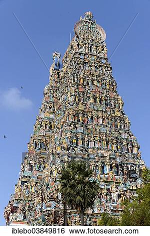 "Meenakshi Amman Temple, Madurai, Tamil Nadu, South India, India, Asia" View Large Photo Image Stock Photograph - "Meenakshi Amman Temple, Madurai, Tamil Nadu, South India, India, Asia". Fotosearch