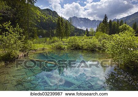 "Meerauge pond, Karawanks, Bodental, Carinthia, Austria, Europe" View Large Photo Image Stock Photo - "Meerauge pond, Karawanks, Bodental, Carinthia, Austria, Europe". Fotosearch