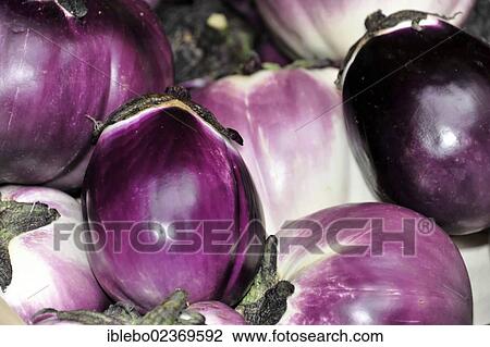 Stock Image - "Melanzane Viola, aubergines or eggplants, vegetables, Rialto market, Venice, Veneto, Italy, Europe". Fotosearch