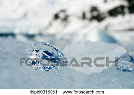"Melt patterns, close-up of an iceberg, Harriman Fjord, Anchorage, Alaska, United States, North America" View Large Photo Image Stock Image - "Melt patterns, close-up of an iceberg, Harriman Fjord, Anchorage, Alaska, United States, North America". Fotosearch