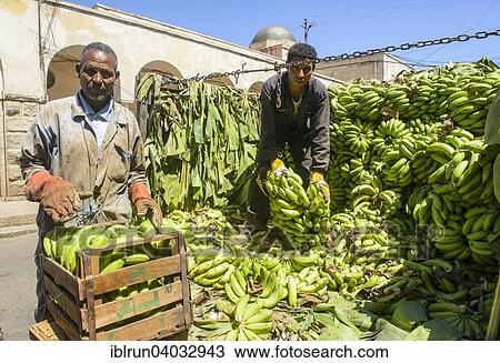 "Men carrying bananas from a truck, Asmara, Eritrea, Africa" View Large Photo Image Stock Image - "Men carrying bananas from a truck, Asmara, Eritrea, Africa". Fotosearch