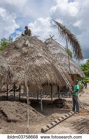 "Men covering the roof of a granary in a village on the Moa River, Tiwai Island, Southern Province, Sierra Leone, Africa" View Large Photo Image Stock Photo - "Men covering the roof of a granary in a village on the Moa River, Tiwai Island, Southern Province, Sierra Leone, Africa". Fotosearch