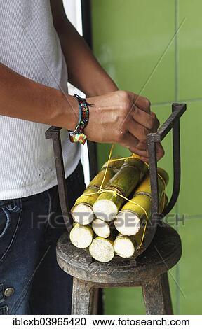 "Men's hands tying cane rods for sale, Puyo, Pastaza Province, Ecuador, South America" View Large Photo Image Stock Image - "Men's hands tying cane rods for sale, Puyo, Pastaza Province, Ecuador, South America". Fotosearch