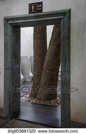 "Men's toilet with trees, Liuhe Temple, Hangzhou, Zhejiang Province, China, Asia" View Large Photo Image Stock Image - "Men's toilet with trees, Liuhe Temple, Hangzhou, Zhejiang Province, China, Asia". Fotosearch