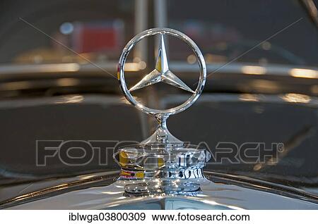 "Mercedes star, hood ornament, Mercedes Benz 320 streamlined sedan, model of 1939, Mercedes Benz Museum, Stuttgart, Baden-Wurttemberg, Germany, Europe" View Large Photo Image Stock Photo - "Mercedes star, hood ornament, Mercedes Benz 320 streamlined sedan, model of 1939, Mercedes Benz Museum, Stuttgart, Baden-Wurttemberg, Germany, Europe". Fotosearch