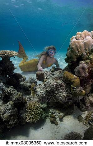 "Mermaid, girl wearing a mermaid costume swimming in the shallow water of a lagoon, underwater, Busuanga, Philippines, Asia" View Large Photo Image Stock Image - "Mermaid, girl wearing a mermaid costume swimming in the shallow water of a lagoon, underwater, Busuanga, Philippines, Asia". Fotosearch