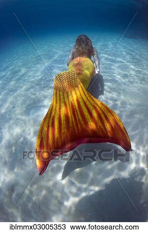Stock Image - "Mermaid, girl wearing a mermaid costume swimming in the shallow water of a lagoon, underwater, Busuanga, Philippines, Asia". Fotosearch