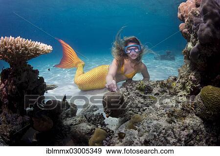 Stock Photo - "Mermaid, girl wearing a mermaid costume swimming in the shallow water of a lagoon, underwater, Busuanga, Philippines, Asia". Fotosearch