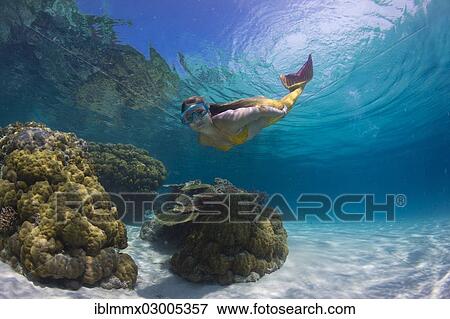 "Mermaid, girl wearing a mermaid costume swimming in the shallow water of a lagoon, underwater, Busuanga, Philippines, Asia" View Large Photo Image Stock Photo - "Mermaid, girl wearing a mermaid costume swimming in the shallow water of a lagoon, underwater, Busuanga, Philippines, Asia". Fotosearch