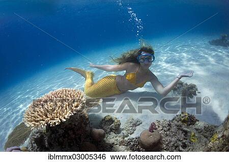 "Mermaid, girl wearing a mermaid costume swimming in the shallow water of a lagoon, underwater, Busuanga, Philippines, Asia" View Large Photo Image Stock Photograph - "Mermaid, girl wearing a mermaid costume swimming in the shallow water of a lagoon, underwater, Busuanga, Philippines, Asia". Fotosearch