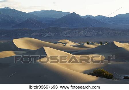 "Mesquite Flat Sand Dunes and Amargosa Range in the early morning, Death Valley National Park, Mojave Desert, California, United States, North America" View Large Photo Image Stock Image - "Mesquite Flat Sand Dunes and Amargosa Range in the early morning, Death Valley National Park, Mojave Desert, California, United States, North America". Fotosearch
