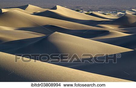"Mesquite Flat Sand Dunes in the early morning, Death Valley, Death Valley National Park, California, USA" View Large Photo Image Picture - "Mesquite Flat Sand Dunes in the early morning, Death Valley, Death Valley National Park, California, USA". Fotosearch