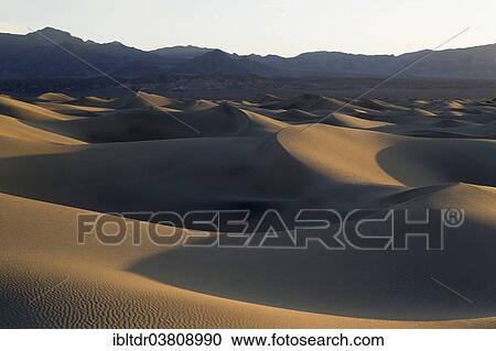 "Mesquite Flat Sand Dunes in the early morning, Amargosa Range in the back, Death Valley, Death Valley National Park, California, USA" View Large Photo Image Stock Image - "Mesquite Flat Sand Dunes in the early morning, Amargosa Range in the back, Death Valley, Death Valley National Park, California, USA". Fotosearch