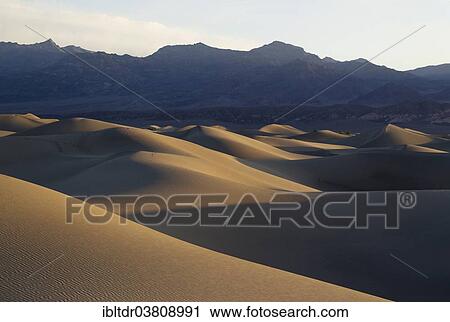 "Mesquite Flat Sand Dunes in the early morning, Grapevine Mountains in the back, Death Valley, Death Valley National Park, California, USA" View Large Photo Image Stock Image - "Mesquite Flat Sand Dunes in the early morning, Grapevine Mountains in the back, Death Valley, Death Valley National Park, California, USA". Fotosearch