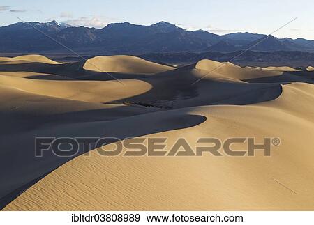 "Mesquite Flat Sand Dunes in the early morning, Amargosa Range in the back, Death Valley, Death Valley National Park, California, USA" View Large Photo Image Stock Photo - "Mesquite Flat Sand Dunes in the early morning, Amargosa Range in the back, Death Valley, Death Valley National Park, California, USA". Fotosearch