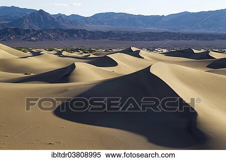 "Mesquite Flat Sand Dunes in the early morning, Amargosa Range in the back, Death Valley, Death Valley National Park, California, USA" View Large Photo Image Stock Photography - "Mesquite Flat Sand Dunes in the early morning, Amargosa Range in the back, Death Valley, Death Valley National Park, California, USA". Fotosearch