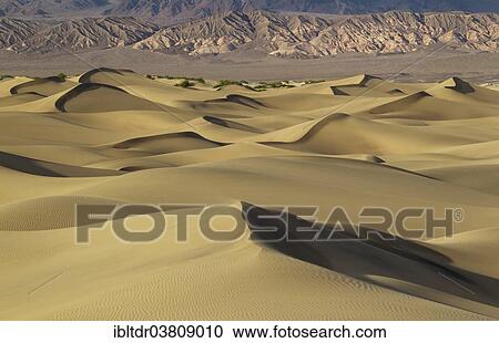 "Mesquite Flat Sand Dunes in the evening light, the foothills of the Amargosa Range in the back, Death Valley, Death Valley National Park, California, USA" View Large Photo Image Stock Image - "Mesquite Flat Sand Dunes in the evening light, the foothills of the Amargosa Range in the back, Death Valley, Death Valley National Park, California, USA". Fotosearch