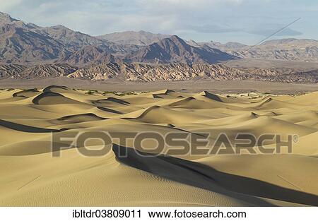 "Mesquite Flat Sand Dunes in the evening light, Amargosa Range in the back, Death Valley, Death Valley National Park, California, USA" View Large Photo Image Stock Image - "Mesquite Flat Sand Dunes in the evening light, Amargosa Range in the back, Death Valley, Death Valley National Park, California, USA". Fotosearch