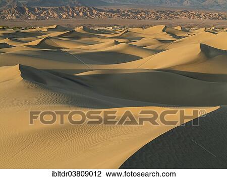 "Mesquite Flat Sand Dunes in the evening light, the foothills of the Amargosa Range in the back, Death Valley, Death Valley National Park, California, USA" View Large Photo Image Stock Image - "Mesquite Flat Sand Dunes in the evening light, the foothills of the Amargosa Range in the back, Death Valley, Death Valley National Park, California, USA". Fotosearch