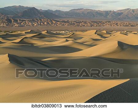 "Mesquite Flat Sand Dunes in the evening light, Amargosa Range in the back, Death Valley, Death Valley National Park, California, USA" View Large Photo Image Stock Image - "Mesquite Flat Sand Dunes in the evening light, Amargosa Range in the back, Death Valley, Death Valley National Park, California, USA". Fotosearch