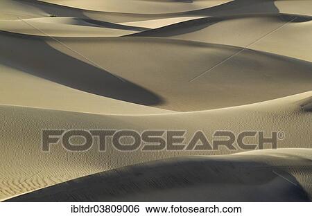 "Mesquite Flat Sand Dunes in the evening, Death Valley, Death Valley National Park, California, USA" View Large Photo Image Stock Photograph - "Mesquite Flat Sand Dunes in the evening, Death Valley, Death Valley National Park, California, USA". Fotosearch